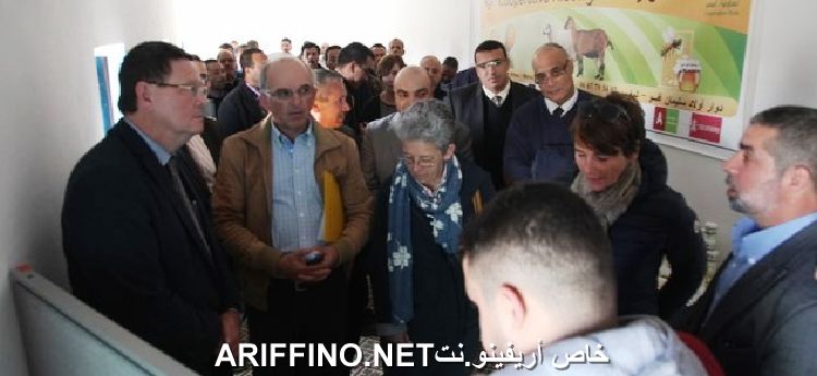 nador3829