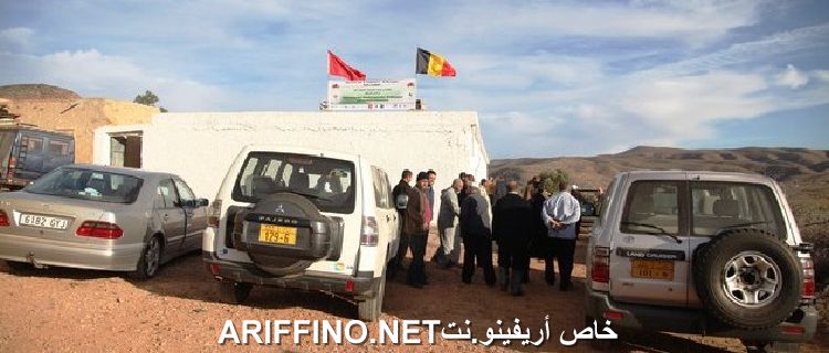 nador3831