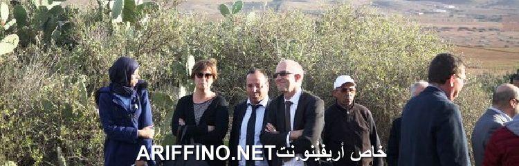 nador3833