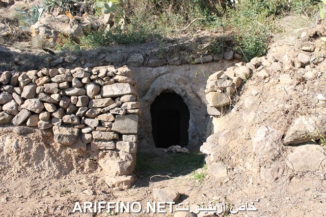nador3854
