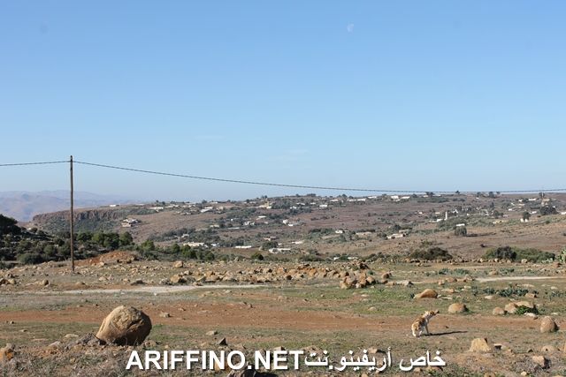nador3855