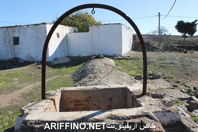 nador3857