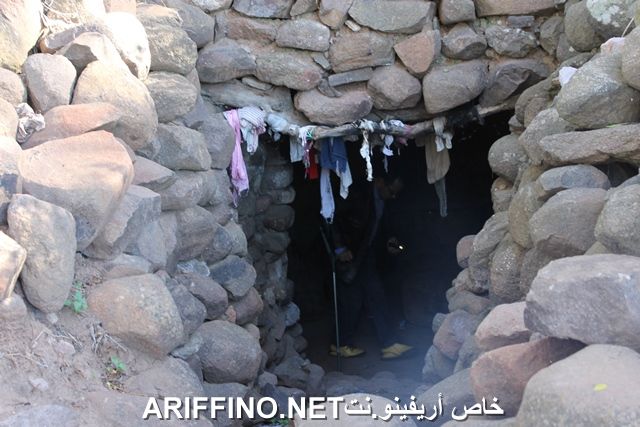 nador3860