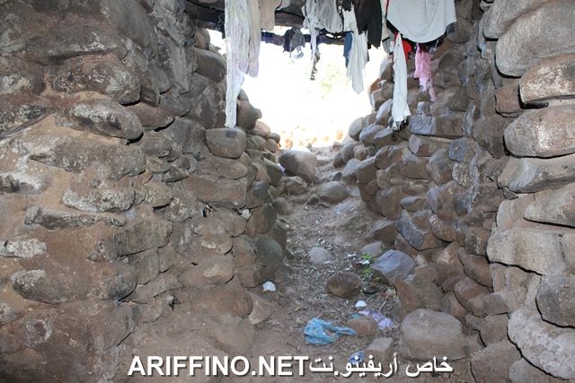 nador3869