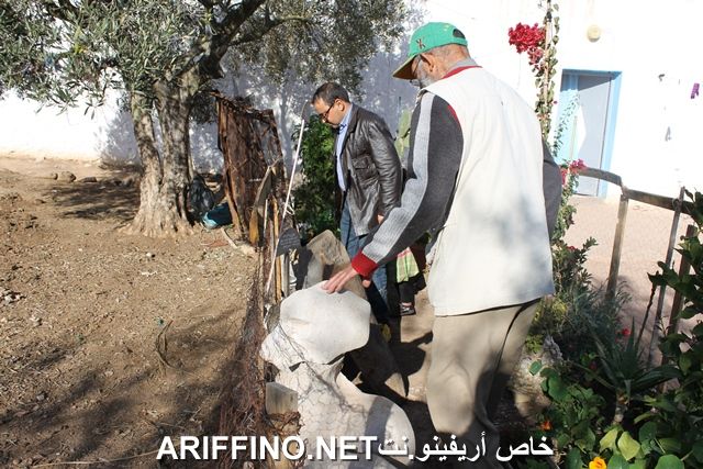 nador3873