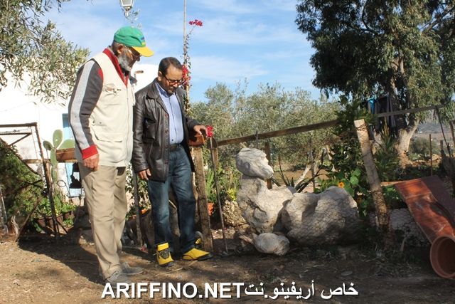 nador3874