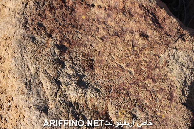 nador3884