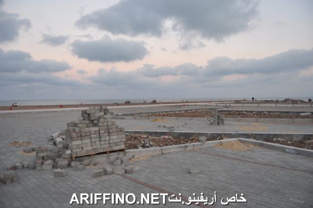 nador3978
