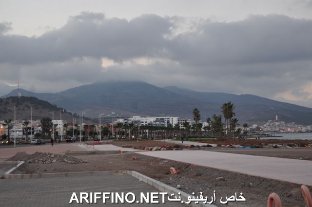 nador3979
