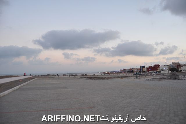 nador3981