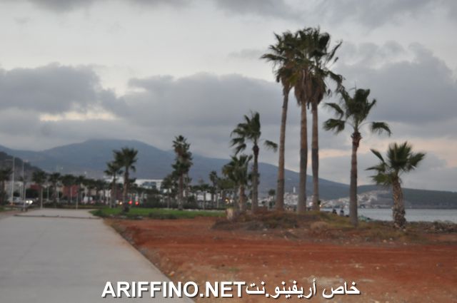 nador3987