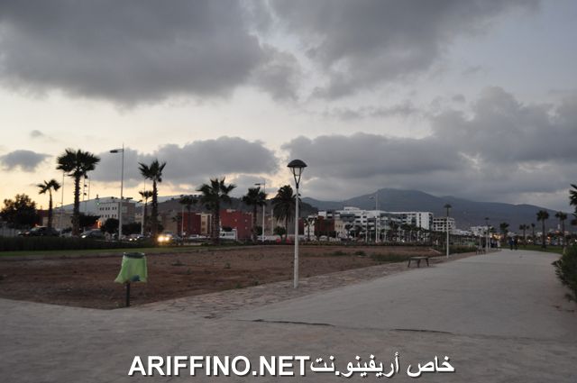 nador3991