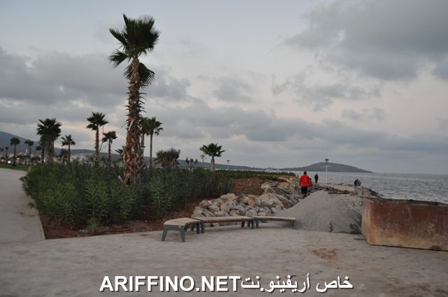 nador3992