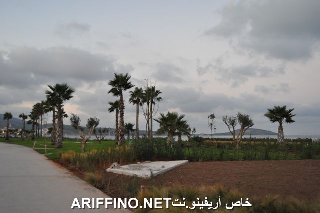 nador3993