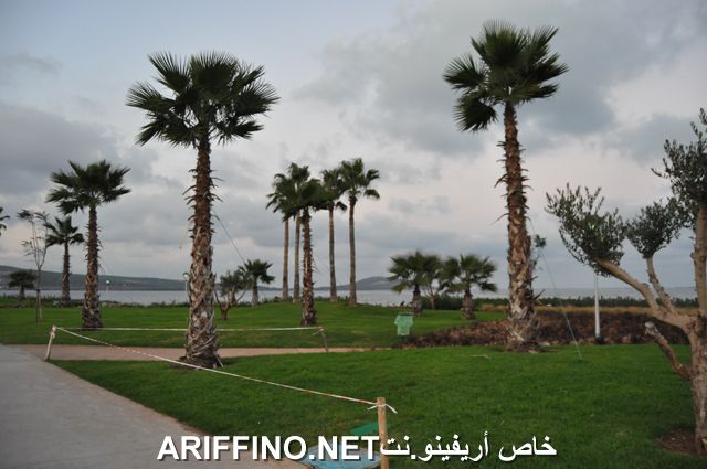 nador3995