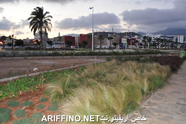 nador3997