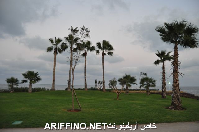 nador3998