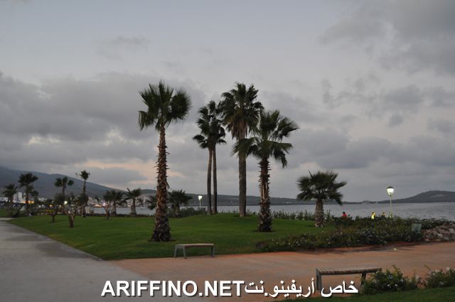 nador3999