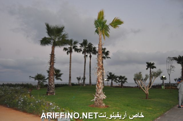nador4000