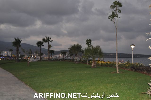 nador4002