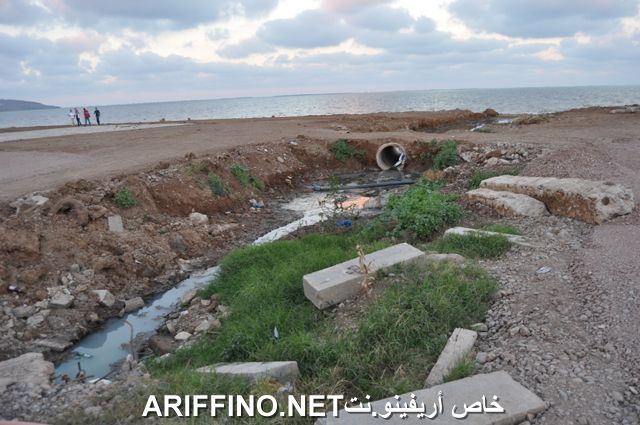 nador4025
