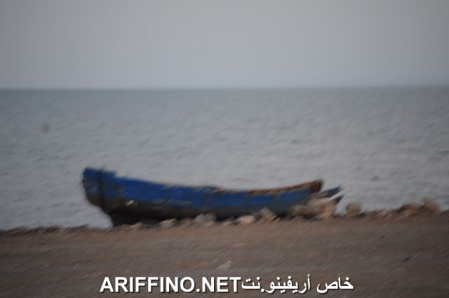 nador4050