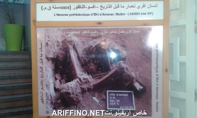 nador4187
