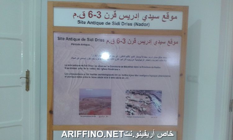 nador4188