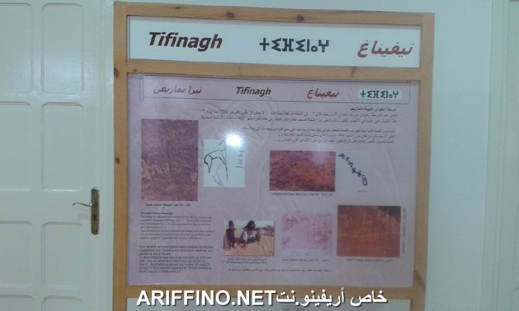 nador4189