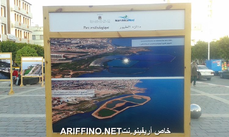nador4200