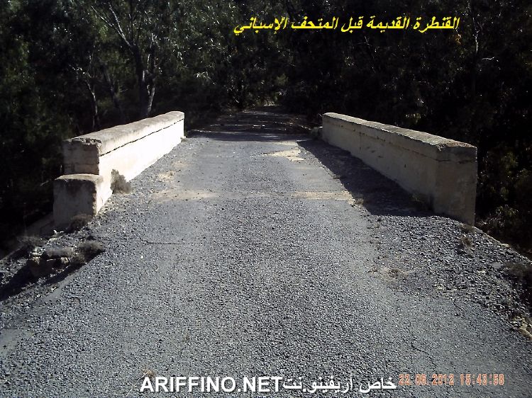 nador4202