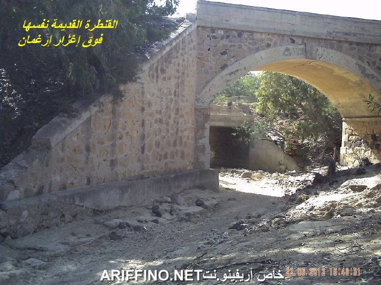 nador4203