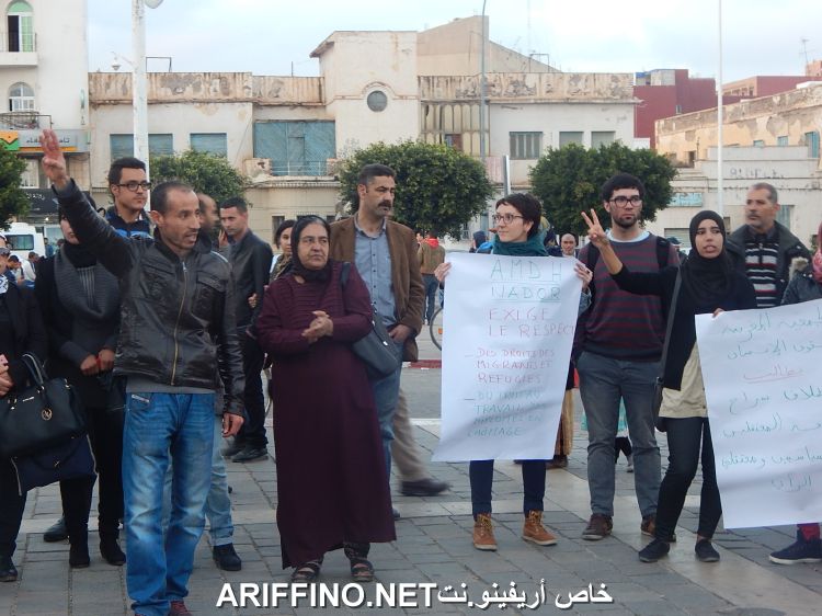 nador4441