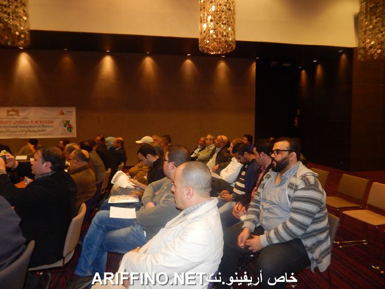 nador5239