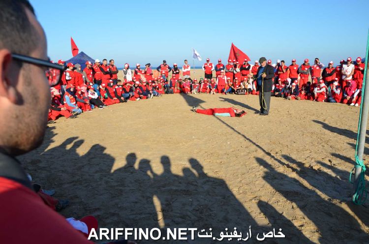nador5433