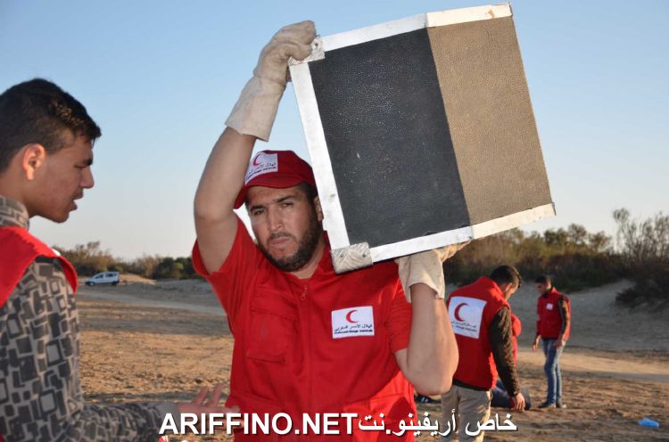 nador5446