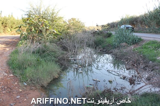 nador5475