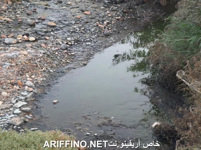 nador5478