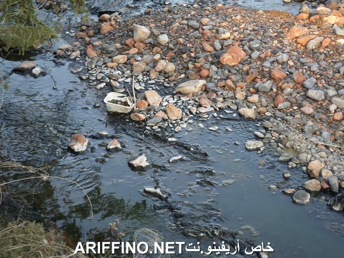 nador5479