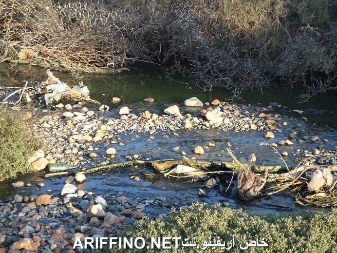 nador5480