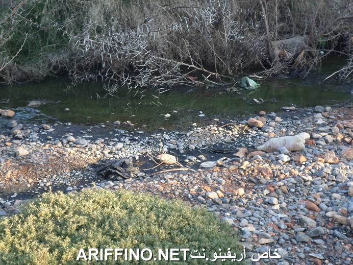 nador5481
