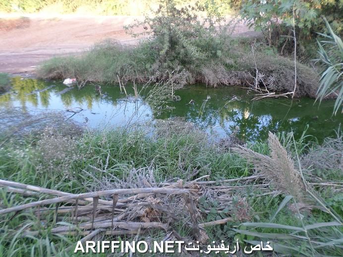 nador5482