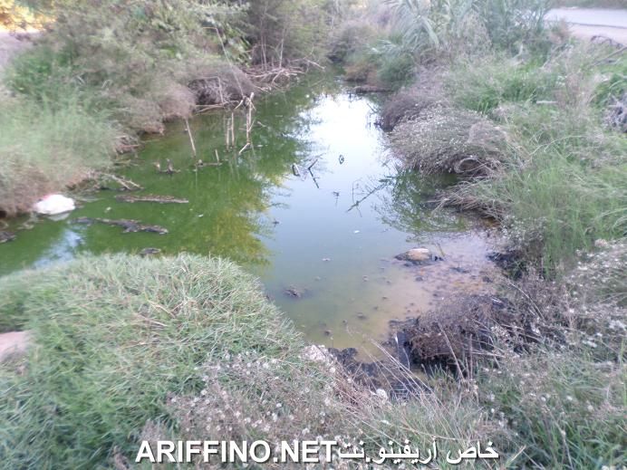 nador5483