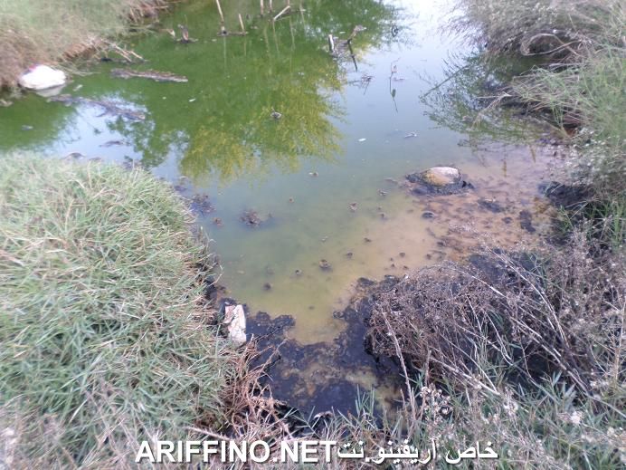 nador5484