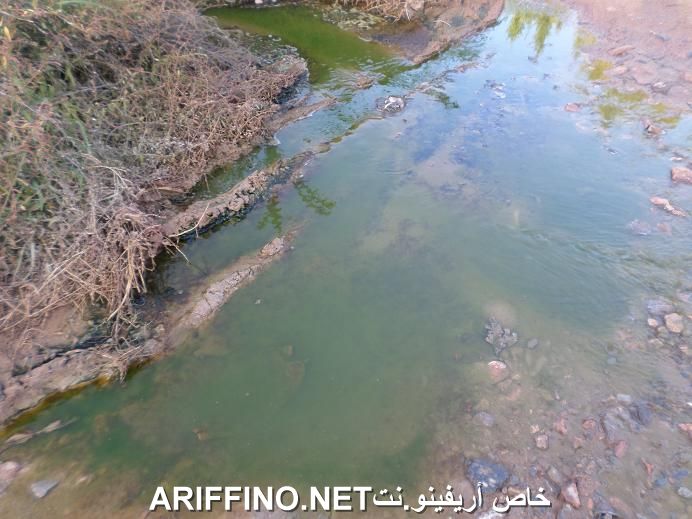 nador5485