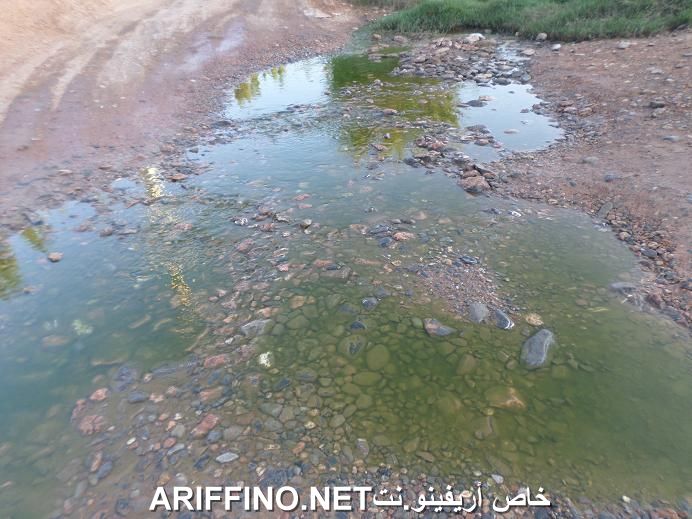 nador5486
