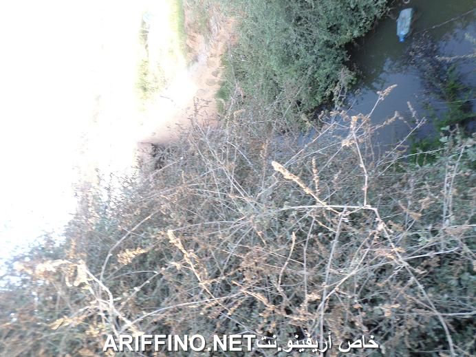 nador5487