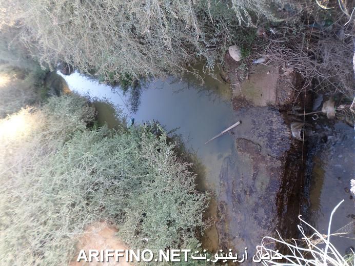 nador5489