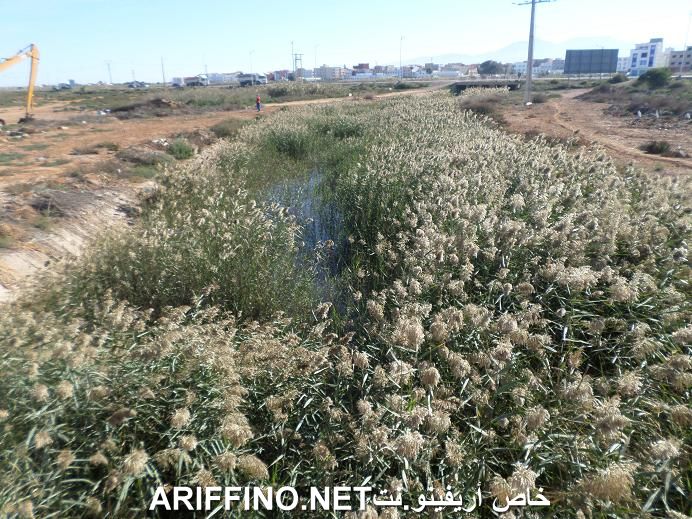 nador5490