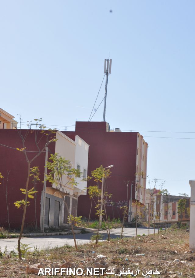 nador5524